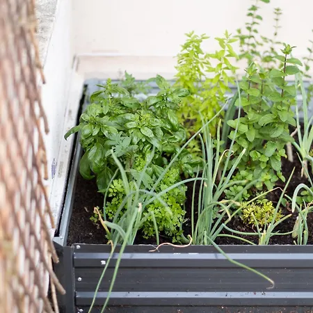 Lumineux Avec Grande Terrasse Et Parking Au Coeur De La По