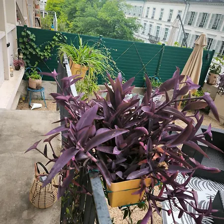 Lumineux Avec Grande Terrasse Et Parking Au Coeur De La По