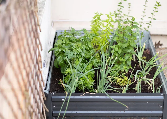 Lumineux Avec Grande Terrasse Et Parking Au Coeur De La По