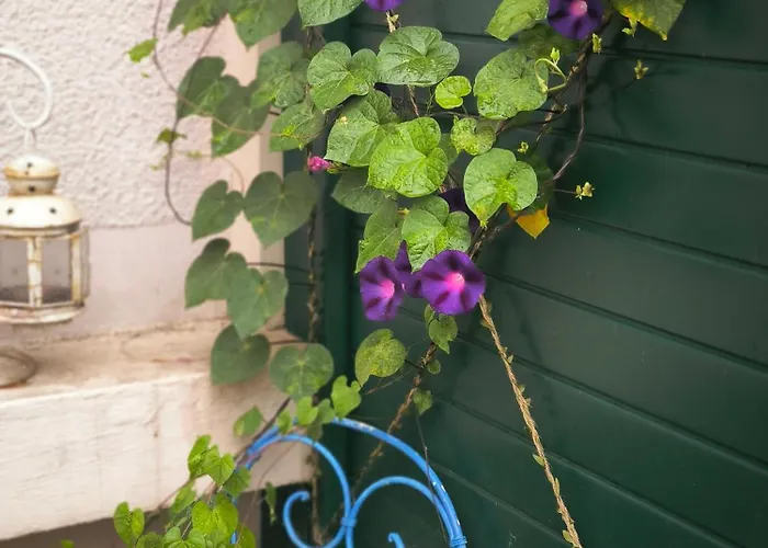 Lumineux Avec Grande Terrasse Et Parking Au Coeur De La По