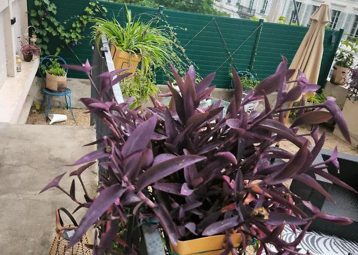 Lumineux Avec Grande Terrasse Et Parking Au Coeur De La По